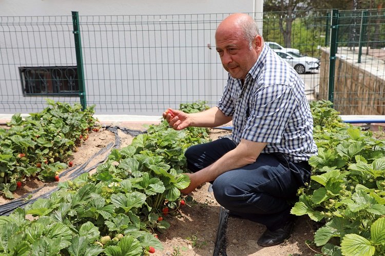Kayseri Talas’tan deneme bahçelerine teşvik