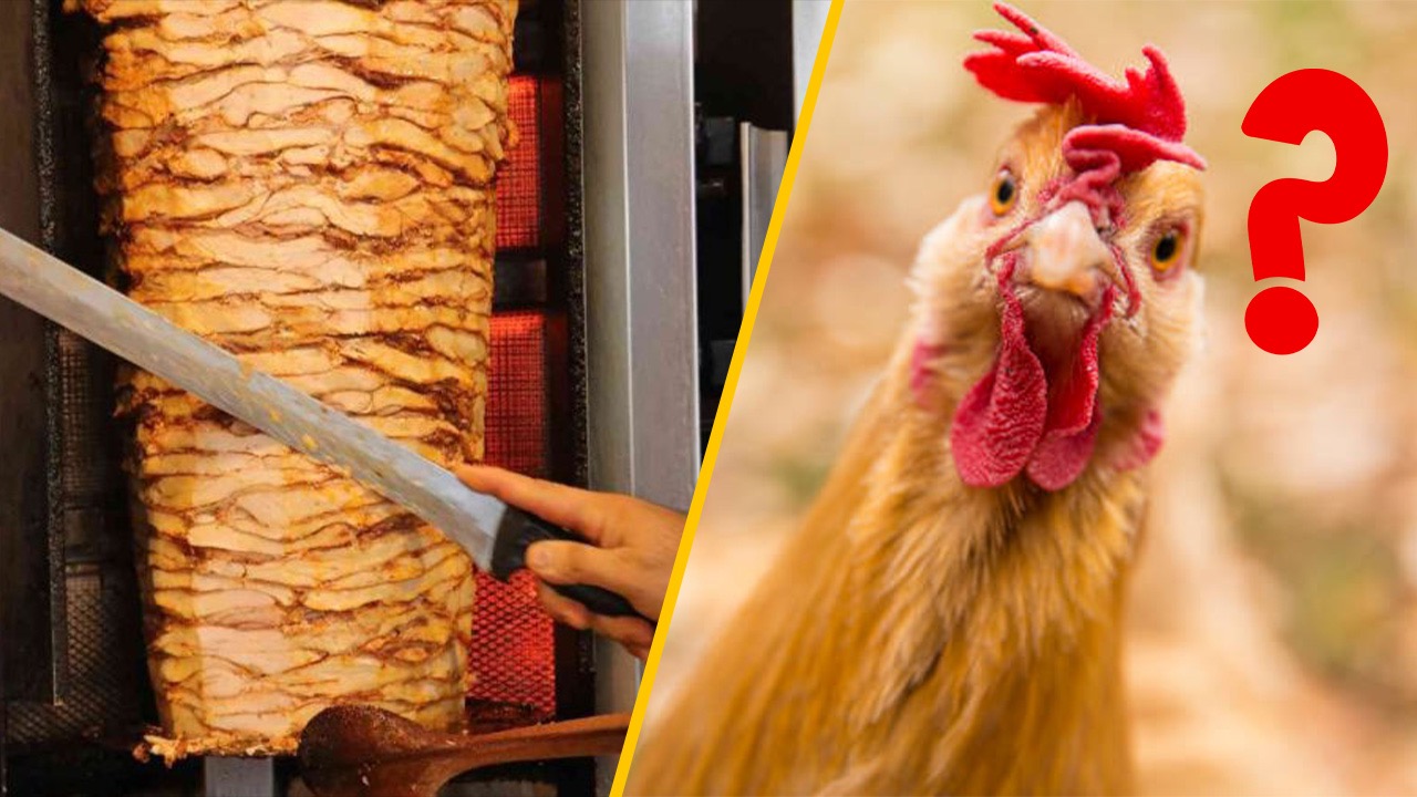 Tavuk döner artık daha ucuz olacak: Yapay tavuk eti dönemi başladı!